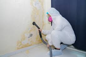 Best Mold Odor Removal Services  in Anna, TX